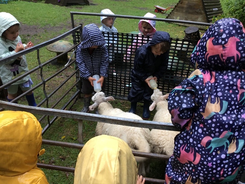 Feeding our Special visitors in our garden-25.JPG